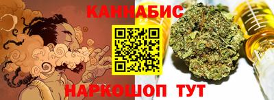 крисы Кингисепп