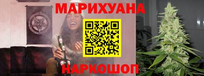 крисы Кингисепп