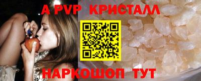 крисы Кингисепп