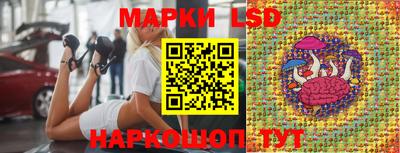 крисы Кингисепп